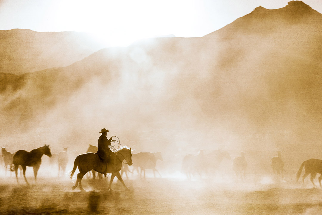 Cowboys Ride Horses At Sunset