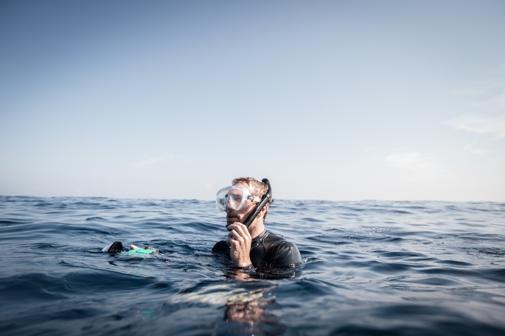 Whale Sharks