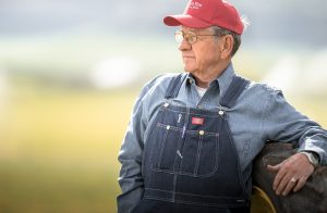 A Third Generation Organic Farmer Looks Across His Hay Fields. This is a Portrait of a Senior Citizen Still Working His Land.