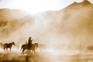 A Modern Cowboy Drives Cattle Near Moab, Utah. The Mist in this Photo Makes this Western Lifestyle Portrait by Tyler Stableford Haunting and Memorable.