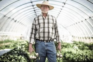 An Organic Farmer In His Greenhouse Farming For Farm-to-Table Dinner. Ranch organic