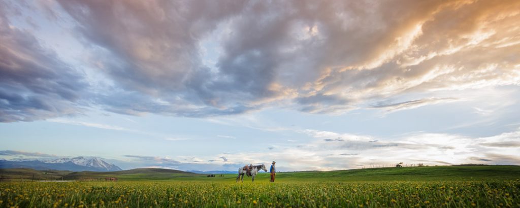 A Man And A Horse In A Field At Sun Set