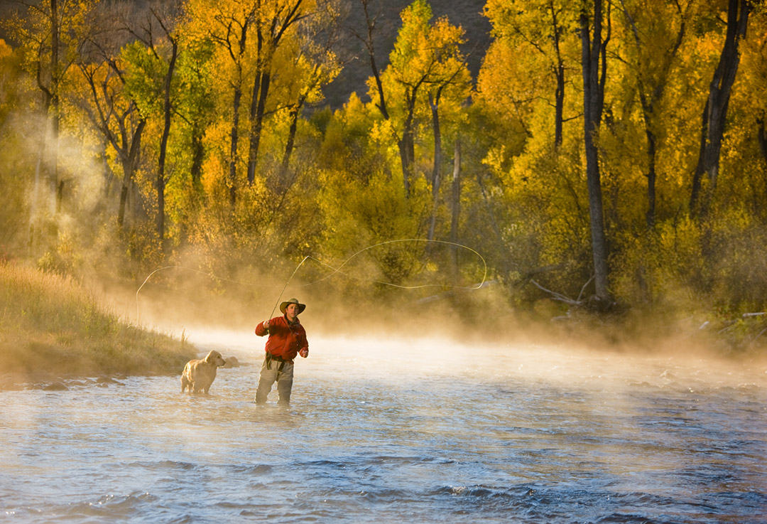 With Fall Gold Cottonwoods and Mist Rising from the Gold Medal Waters of the Roaring Fork River, this Photograph is Iconic of a Passion for Fly Fishing.