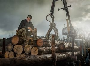 Gray skies frame a modern American worker on the site at a logging development. Portraits like these capture the necessity of tough workwear brands to support these men and women.