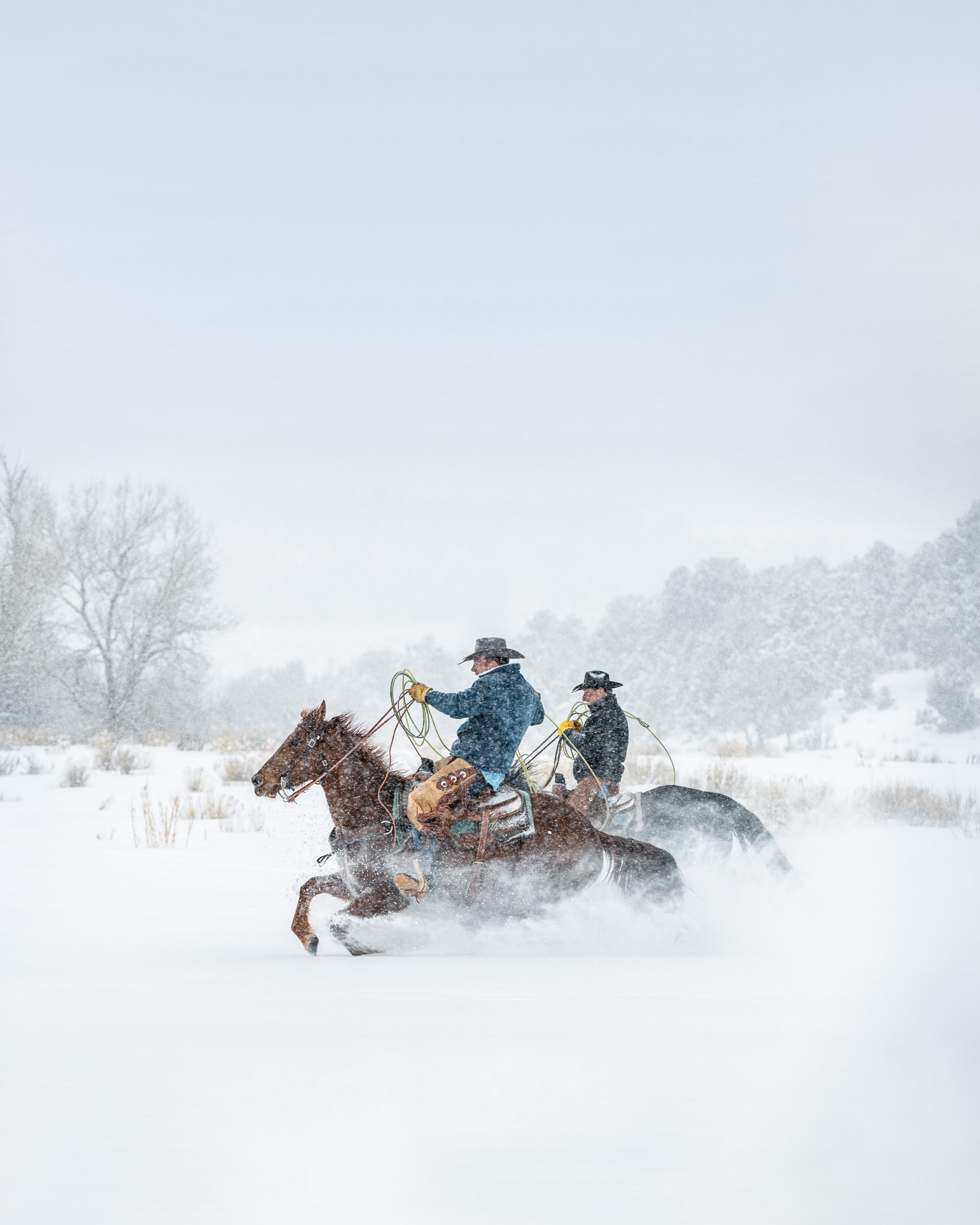 Colorado Cowboys on Horseback in a Snow Storm